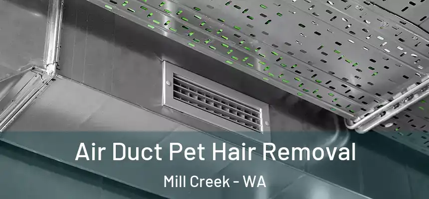 Air Duct Pet Hair Removal Mill Creek - WA