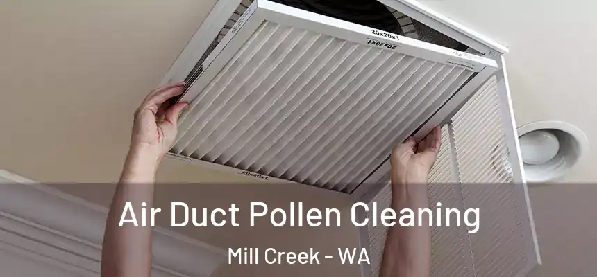 Air Duct Pollen Cleaning Mill Creek - WA