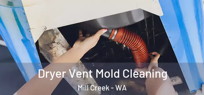  Dryer Vent Mold Cleaning Mill Creek - WA