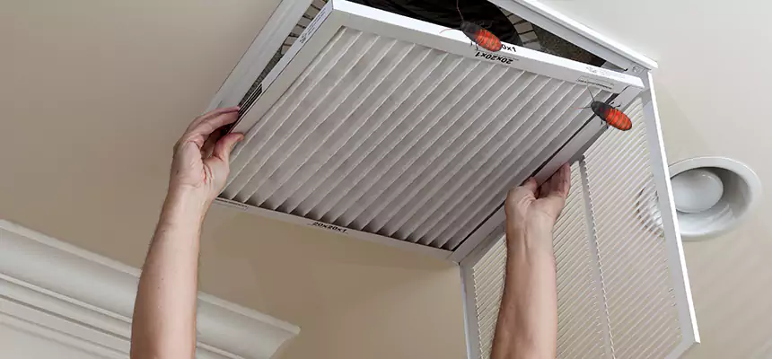 Preventive Cockroach-Proofing for Ducts in Mill Creek