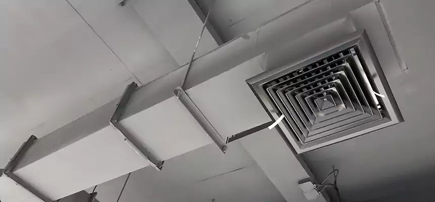 Our Rodent Droppings In Vents Services in Mill Creek, WA