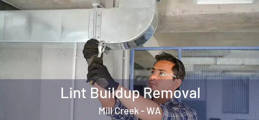Lint Buildup Removal Mill Creek - WA