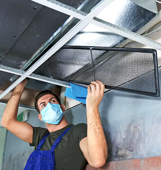 About Air Duct Bacteria Removal in Mill Creek
