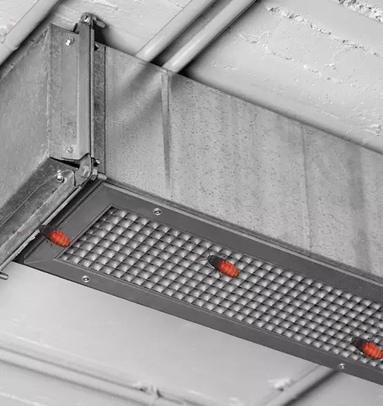 About Air Duct Cockroach Removal in Mill Creek, WA
