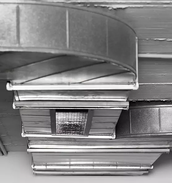 Professional Air Duct Pest Removal in Mill Creek, WA