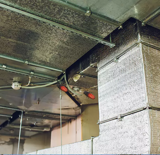 Why Homeowners & Businesses Trust Us in Mill Creek, WA?