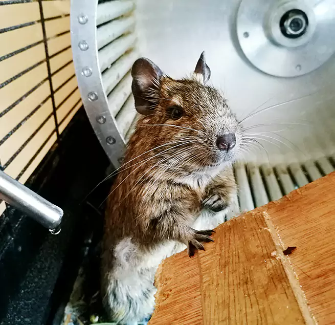 Why Homeowners & Businesses Trust Us Mill Creek, WA