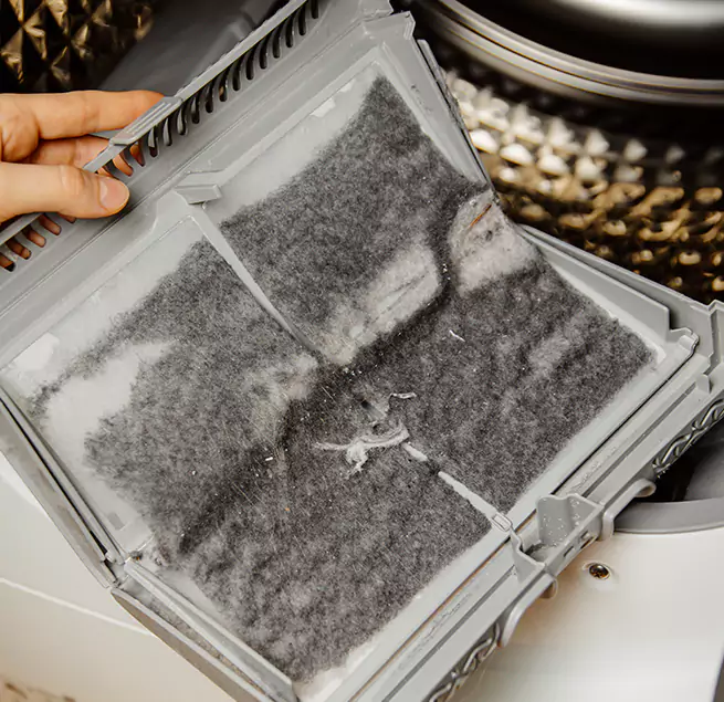 Why Homeowners & Businesses Trust Us Mill Creek, WA?