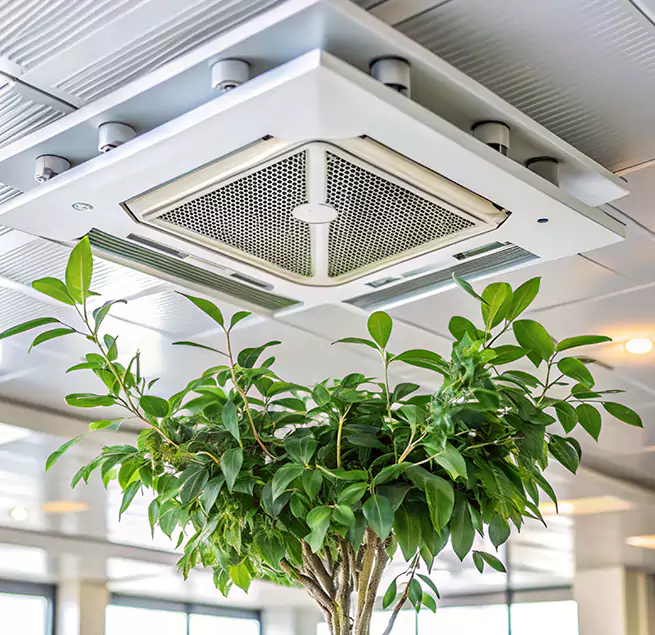 Why Homeowners & Businesses Trust Us in Mill Creek, WA