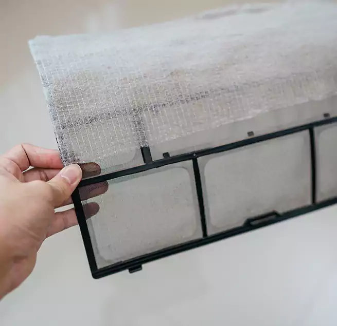 Why Homeowners & Businesses Trust Us in Mill Creek, WA?