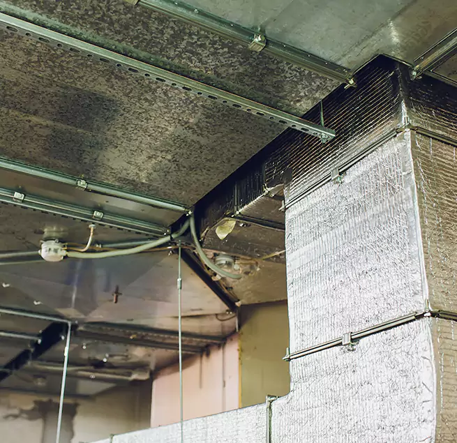 Why Homeowners & Businesses Trust Us in Mill Creek, WA?