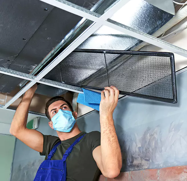 Why Homeowners & Businesses Trust Us in Mill Creek, WA?