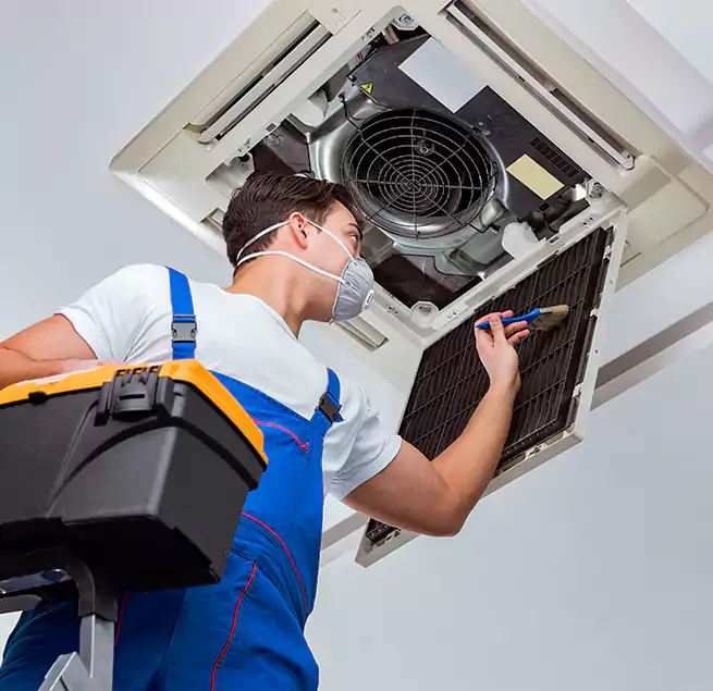 Why Homeowners & Businesses Trust Us in Mill Creek, WA?