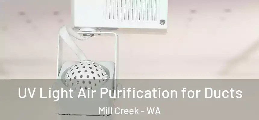  UV Light Air Purification for Ducts Mill Creek - WA